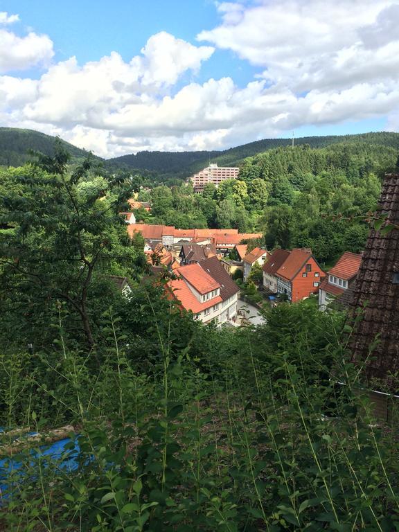 Ferienwohnung Zur Alten Post Bad Grund Eksteriør billede